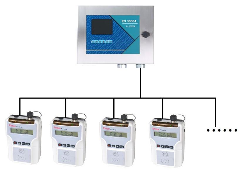 RD-3000A Control Unit+TGAS-1013 On-line Infrared gas transmitter